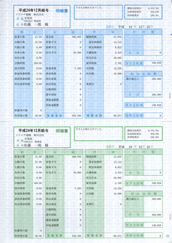 SR210 給与賞与明細書 明細型 | ソリマチ給料王サプライ | 給与明細