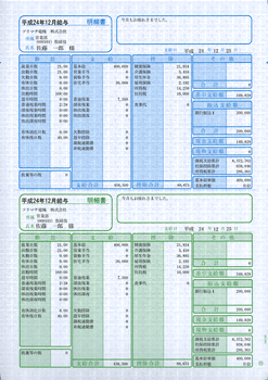 ソリマチ SR2301 給与・賞与明細書 明細タテ型 100枚