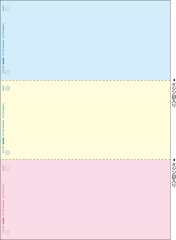 WP-C30 応研 販売大臣 カラー無地帳票（3面）1000枚