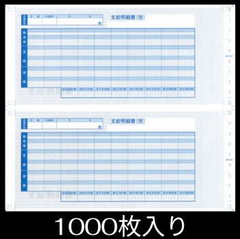 袋とじ支給明細書 給与明細ドットコムオリジナル 1000枚 Type M BH6002-1000