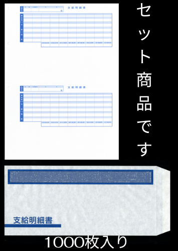 支給明細書 封筒パック 給与明細ドットコムオリジナル 1000枚セット（BH6202-1000＋BHFT-2S）BHKWP-2S