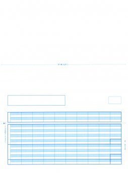 PCA PA1119G 給与明細書単票D (罫線付き) 500枚(旧型番：PCA PA1119F)