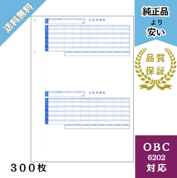 【BH6202ｰ300】OBC6202対応 B4支給明細書 給与明細ドットコムオリジナル 300枚