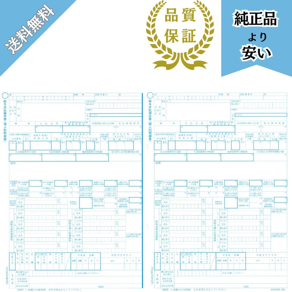 【予約商品】SR250 R07対応 給与支払報告書(源泉徴収票無し)100名分 令和8年提出 SHR250K-R07