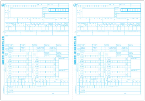 給与奉行対応 給与支払報告書のみ（源泉徴収票無し）令和6年提出 100名分【互換製品】BH6109-G23K