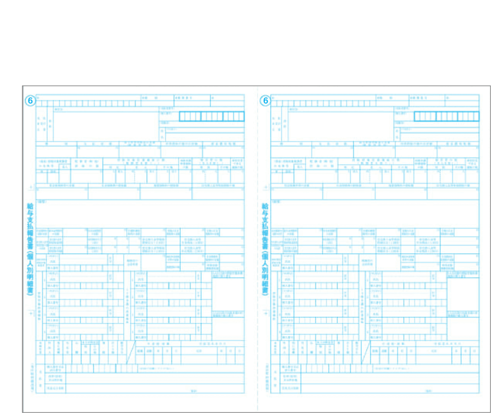 【30名様用】弥生給与対応  給与支払報告書 単票用紙 30名分 令和6年提出【互換製品】